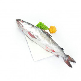 ETTA FISH SMALL KG