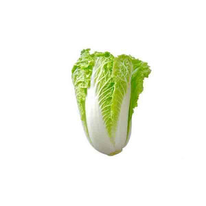 CHINESE CABBAGE - 1KG   (APPROX)
