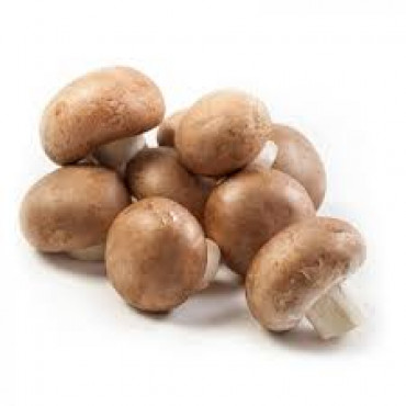 MUSHROOM BROWN HOLLAND PKT