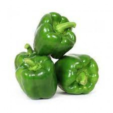 CAPSICUM GREEN IMPORT 1 KGS