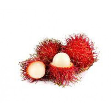 RAMBUTAN