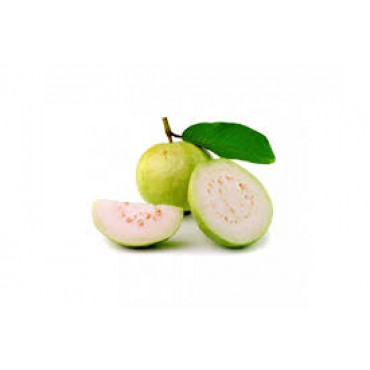 INDIAN GUAVA 1 KGS