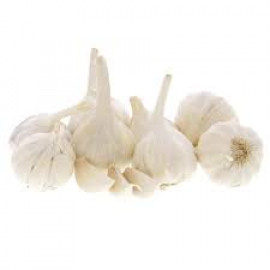 INDIAN GARLIC