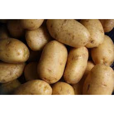 POTATO BROWN 1 KGS