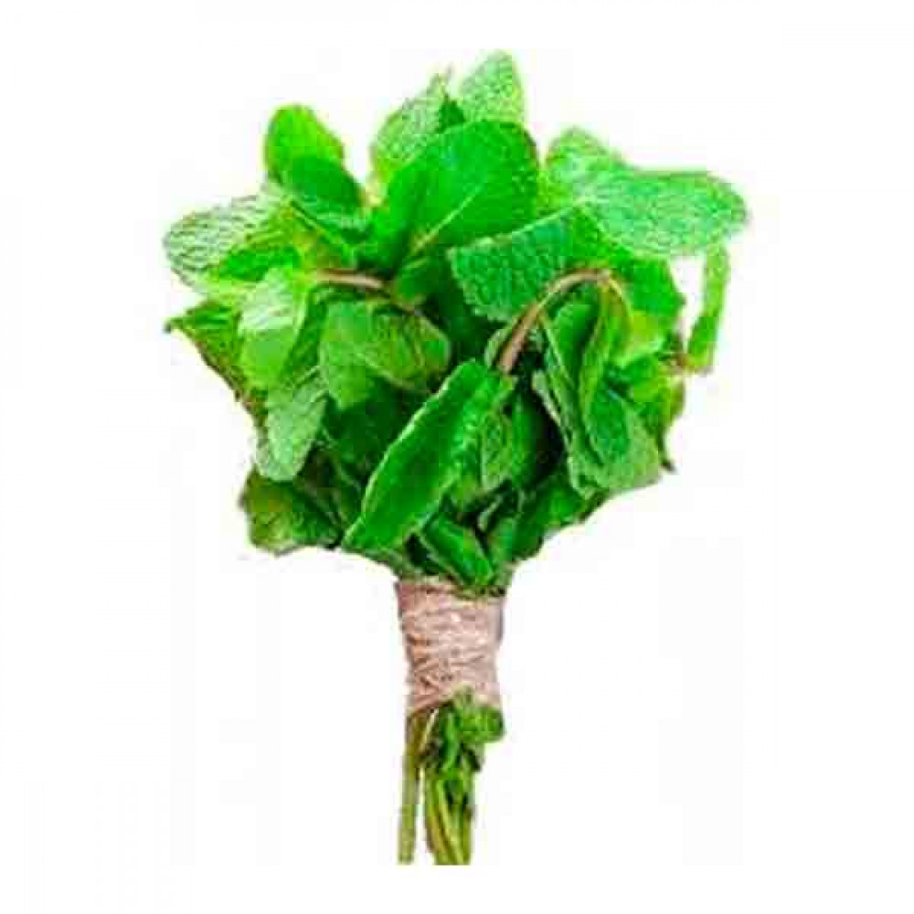 Mint Leaves - Bunch  Mint Leaves - Bunch