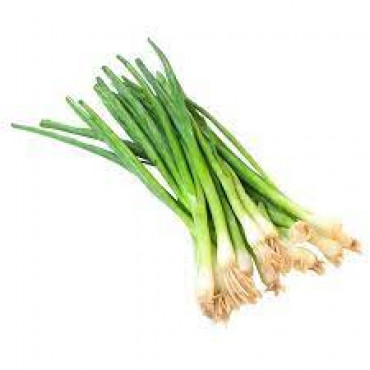 SPRING ONION BUNCH