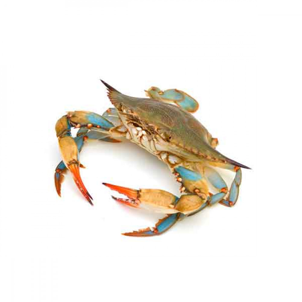 Fresh Blue Crab - 1Kg (Approx)  Fresh Blue Crab - 1Kg (Approx)