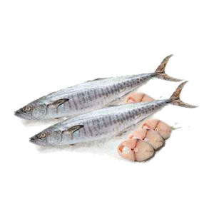 FRESH KING FISH BIG 4KG APPROX