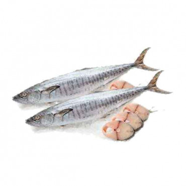 Fresh King Fish Big - 1Kg (Approx) 