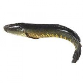 BRAAL FISH 1 KGS