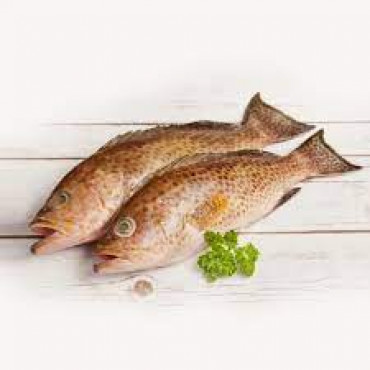 HAMOUR  FISH 1 KGS