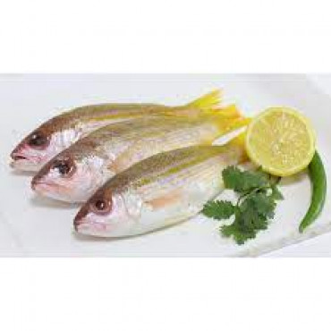 NAIZER FISH 1 KGS