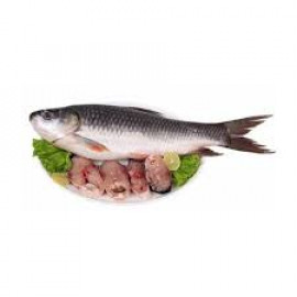 EGYPTIAN ROHU FISH (FRESH)