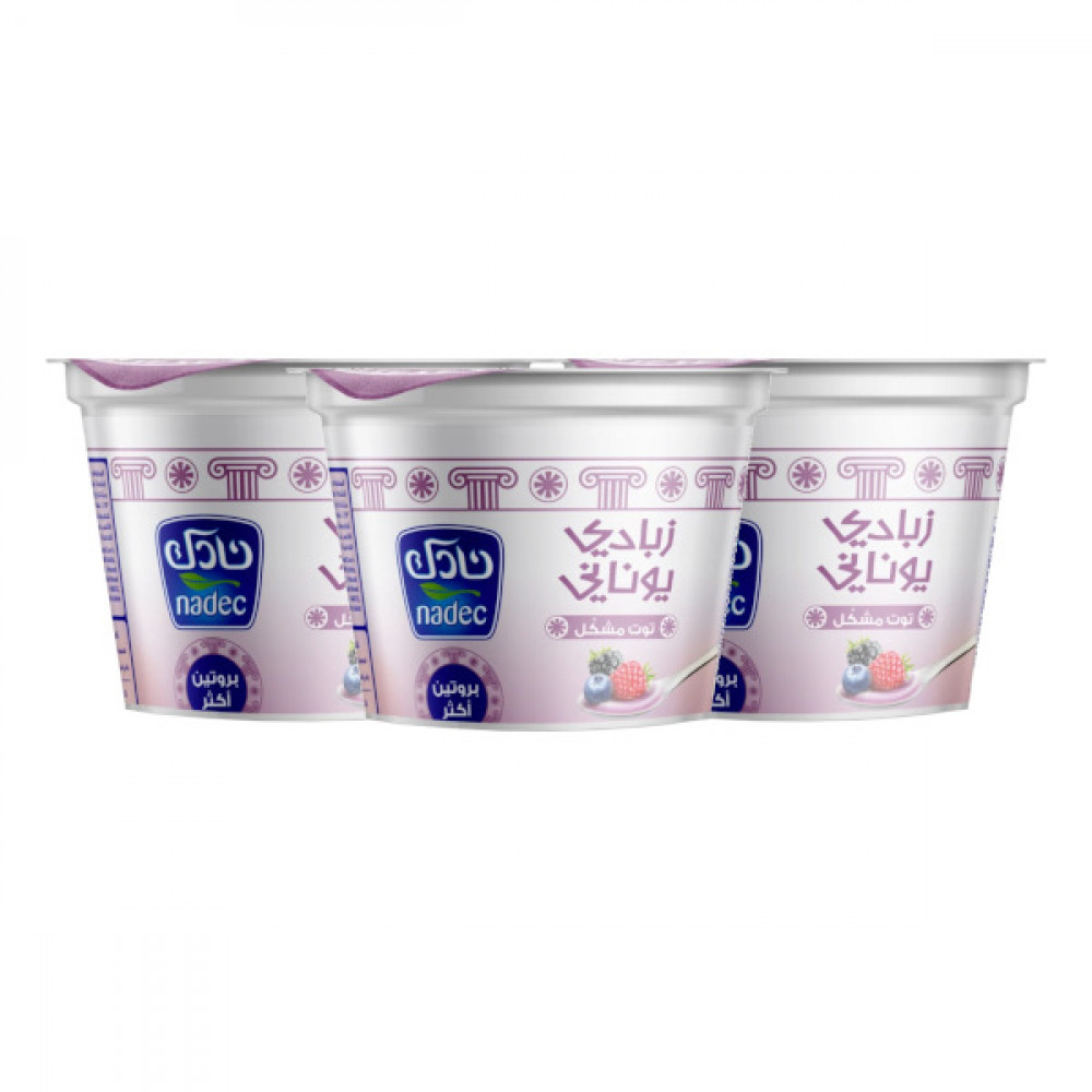 Nadec Greek Yogurt Mix Berry 160gm 2 + 1 Free 