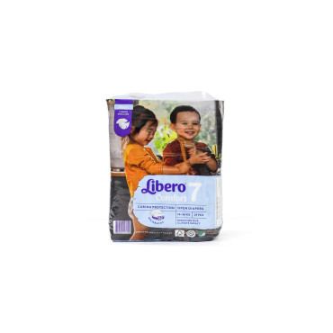 NESTLE MAGGI CHICKEN SOUP NOODLES 12SX60GM