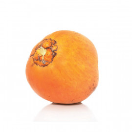 King Coconut - Sri Lanka - Piece