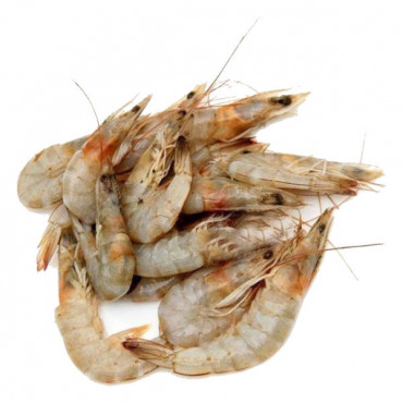 Fresh Sea Prawns Medium 1Kg (Approx) 